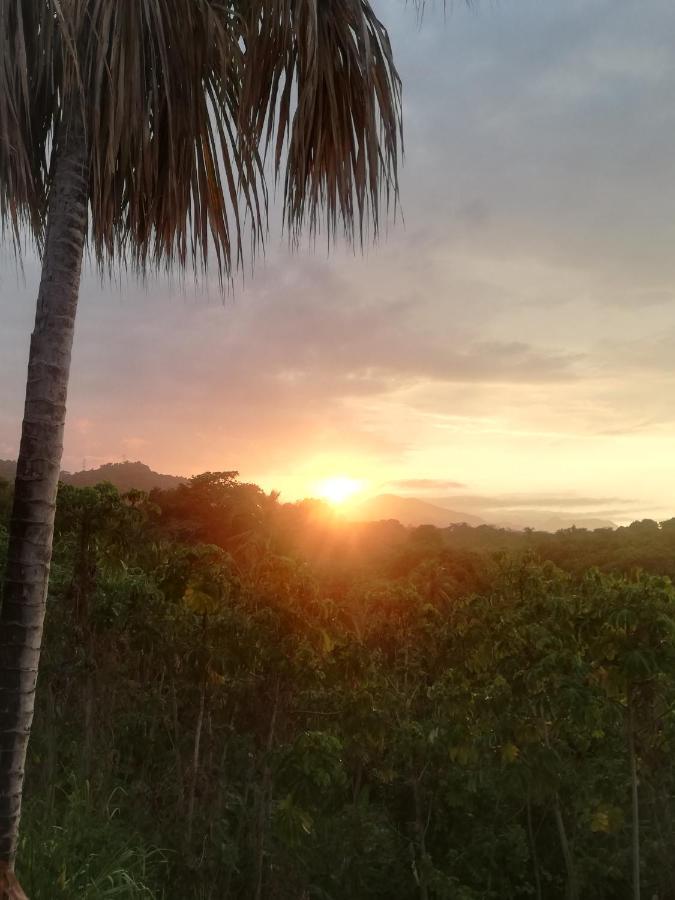 Casa Tolosa Tayrona, Los Cocos La Poza Dış mekan fotoğraf