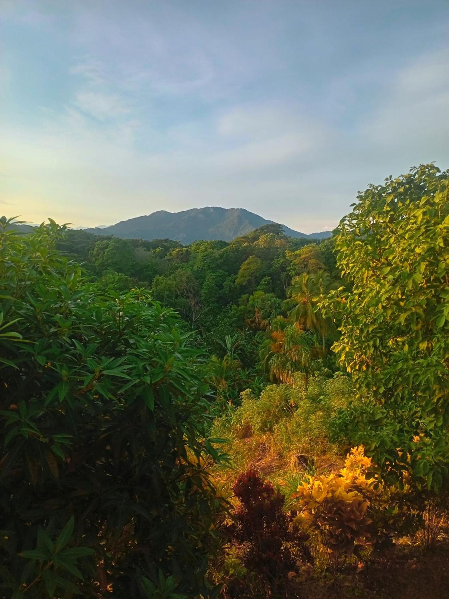 Casa Tolosa Tayrona, Los Cocos La Poza Dış mekan fotoğraf